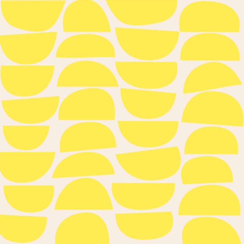 Bowls Lemon Slice by Skinny laMinx