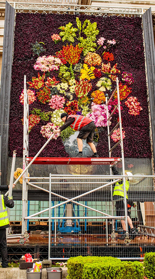 flower council installation surface design artwork
