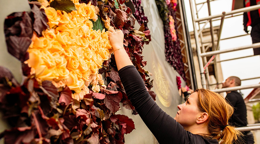 Robin Sprong floral installation for flower council