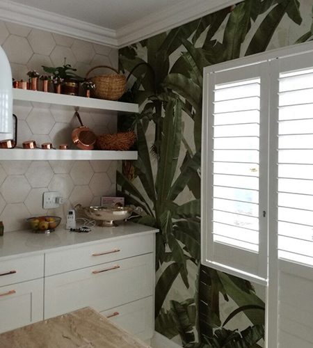 kitchen wallpaper with big tree fronds