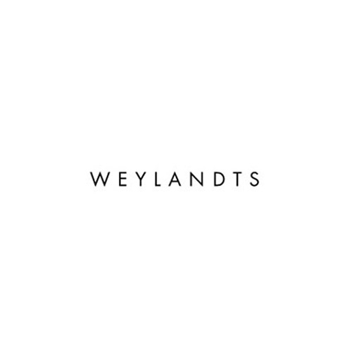 wedylandts logo