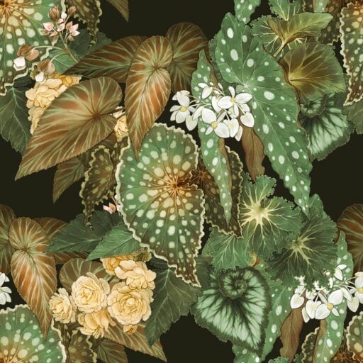 Begonia - Earthy Green