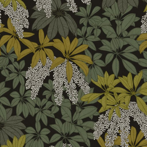 Alternative view of Parasol Leaves in Shade