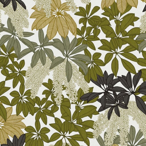 Alternative view of Parasol Leaves in Sun