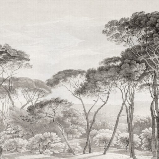 Alternative view of Italian Landscape Black and White