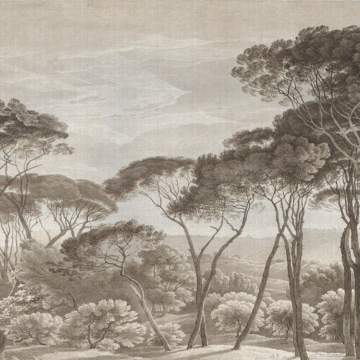 Alternative view of Italian Landscape Sepia