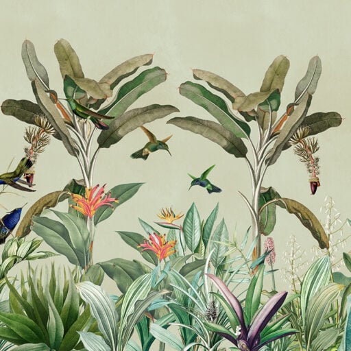 Alternative view of Hummingbird Panorama