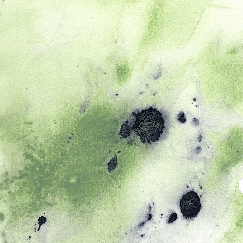Observe Mural - Image 2