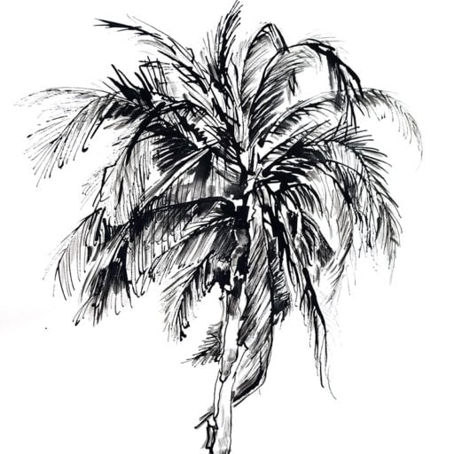 Alternative view of Phoenix Palm Mural