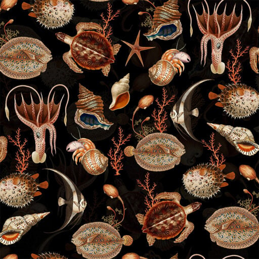 Alternative view of Shells and Sealife - Black