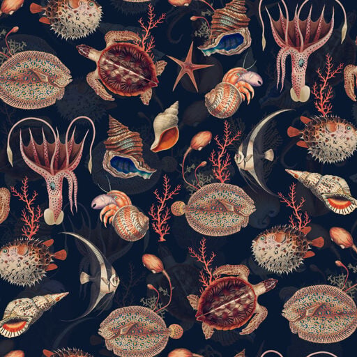 Alternative view of Shells and Sealife - Navy