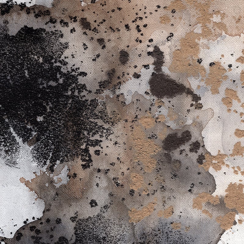 Terra Mural - Image 2