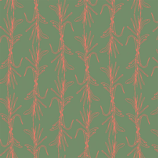 Alternative view of Umbona - Sage