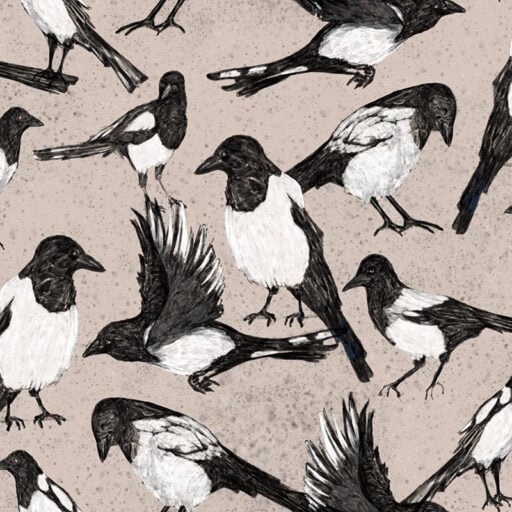 Alternative view of Magpies