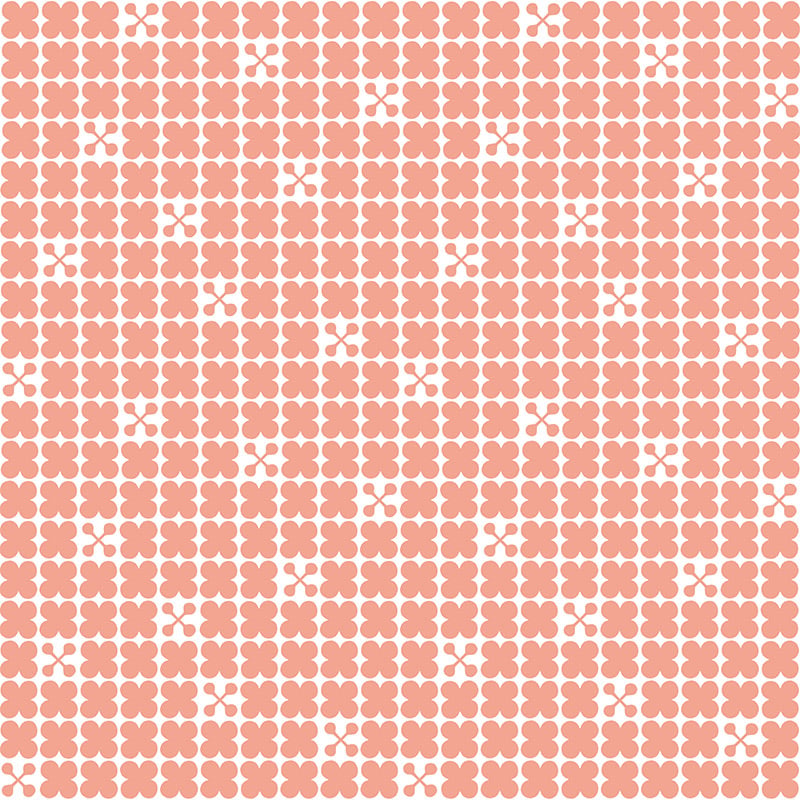 Mini Candy Shell - Image 2