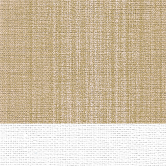 Delicate on Standard Canvas