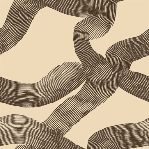 Alternative view of Soma Cacao