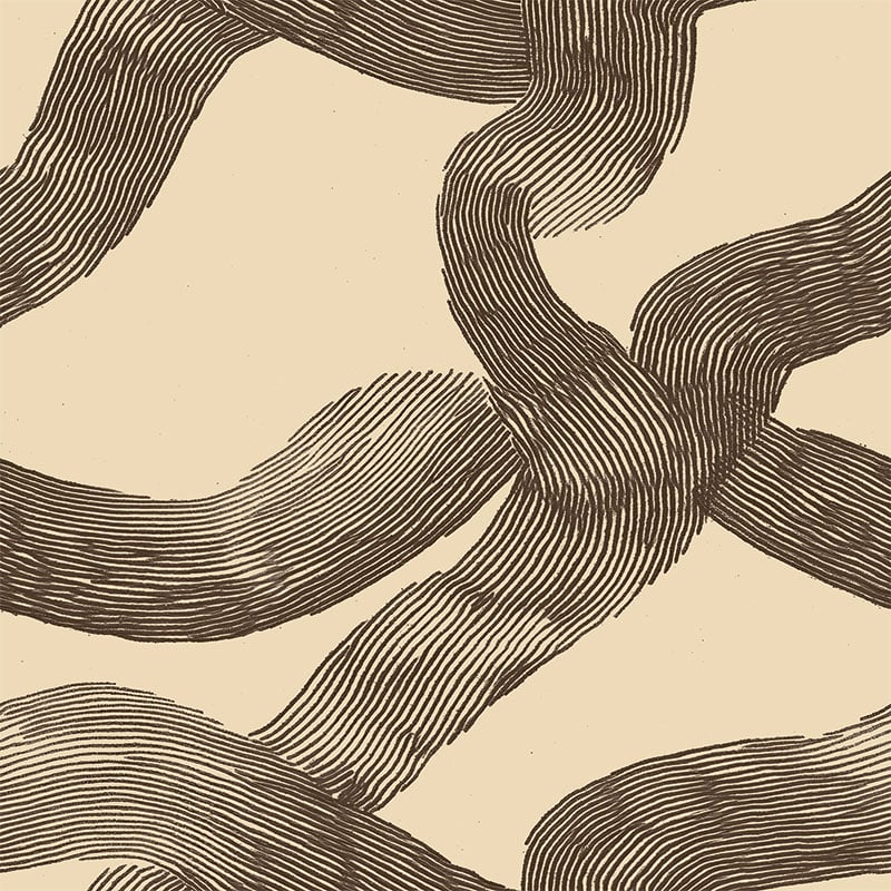 Soma Cacao - Image 2