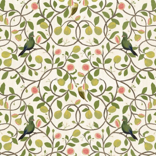 Alternative view of Guavas