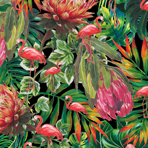 PROTEA & FLAMINGO DESIGN_BLACK_THARIEN_SMITH