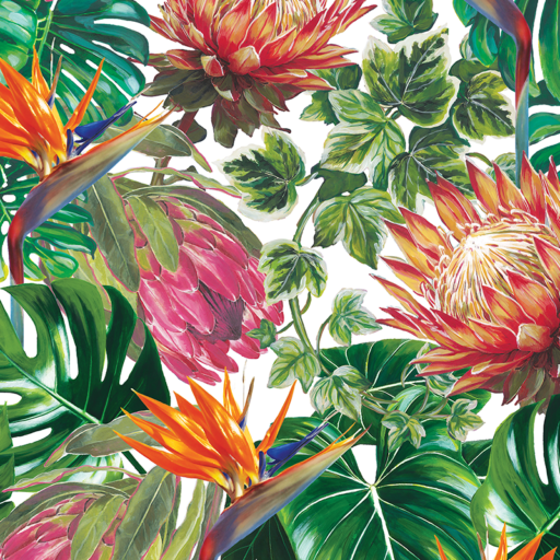 STELITZIA & PROTEA DESIGN_WHITE_THARIEN_SMITH