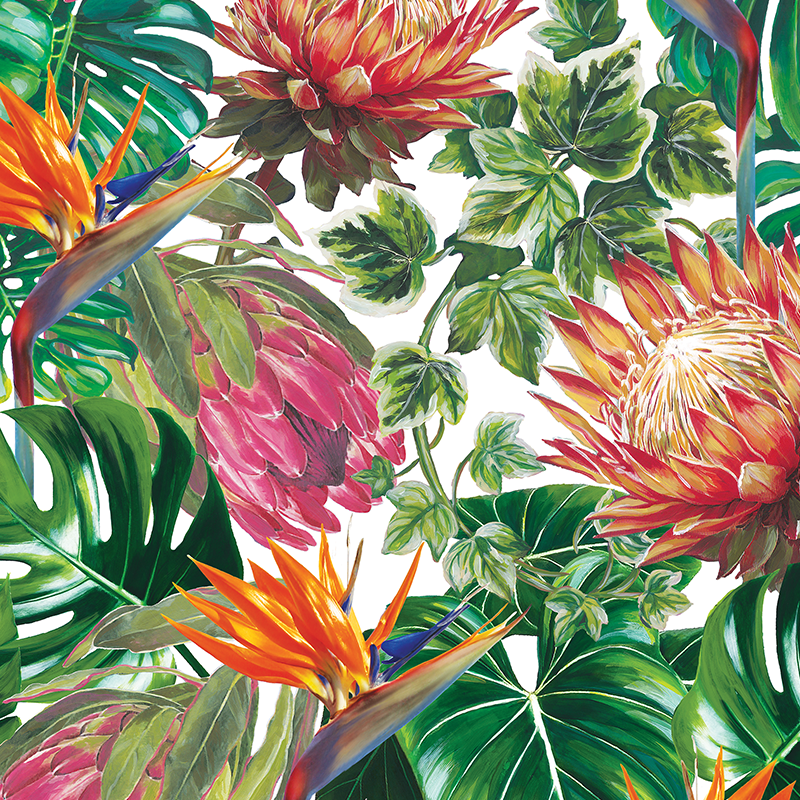 STELITZIA & PROTEA DESIGN_WHITE_THARIEN_SMITH