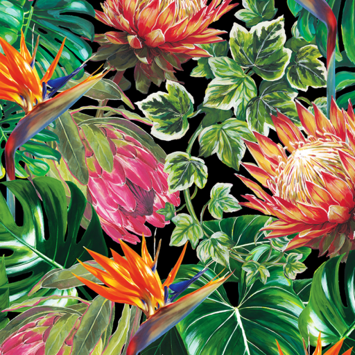 STRELITZIA-PROTEA-DESIGN_BLACK_THARIEN_SMITH