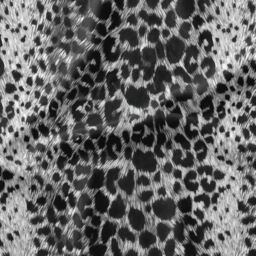 Silver Eclipse Fabric