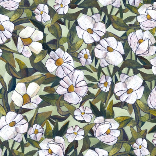 Magnolia Flowers