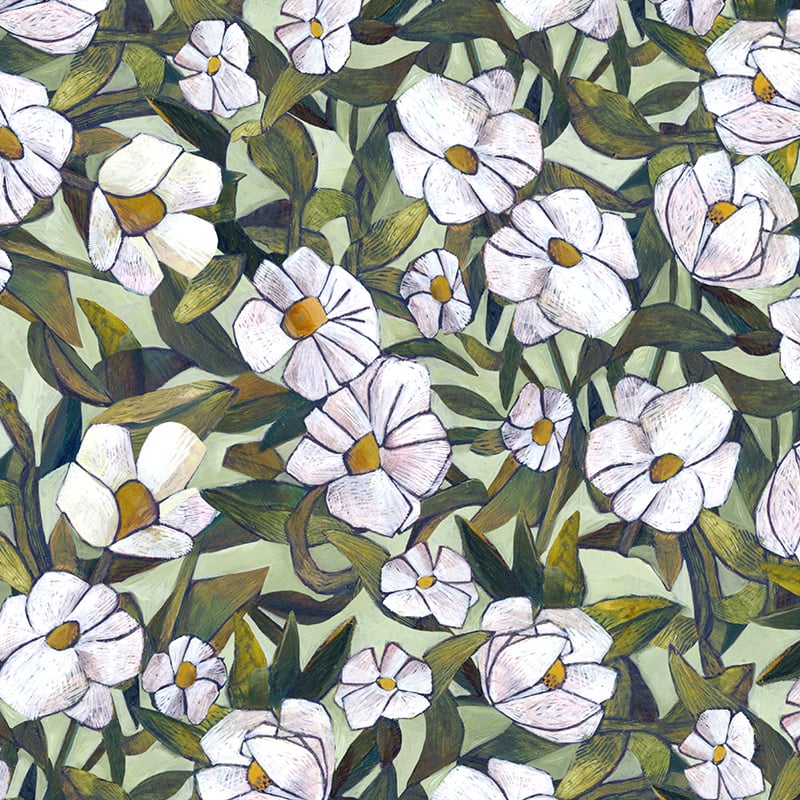 Magnolia Flowers