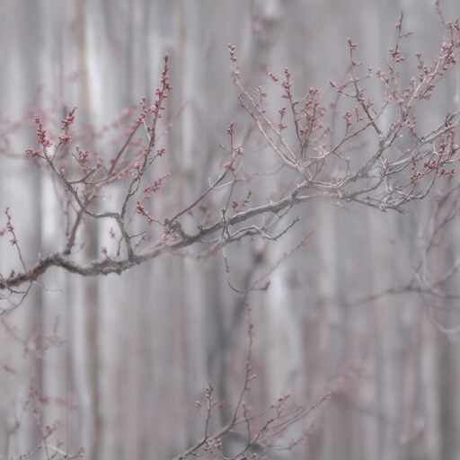 Inbetween Seasons