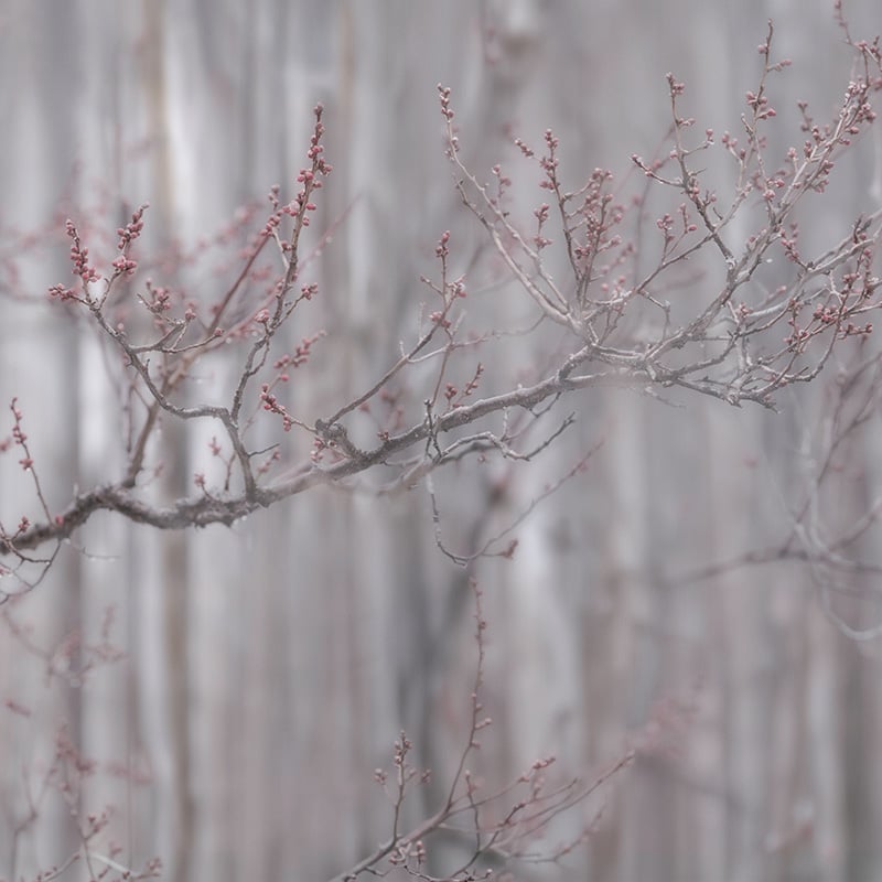 Inbetween Seasons