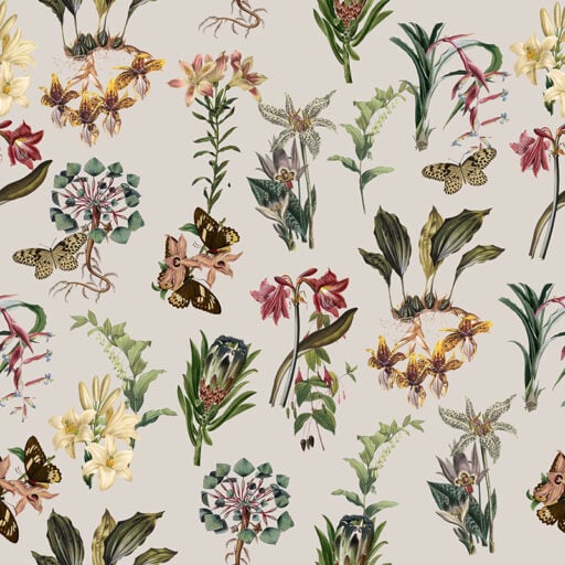 Butterfly Flora
