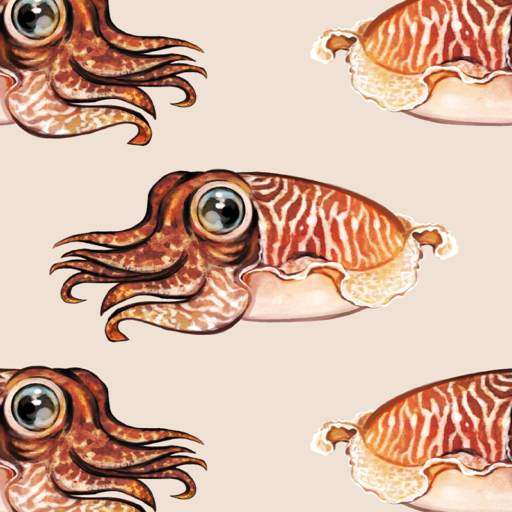 Cuttlefish - Sand
