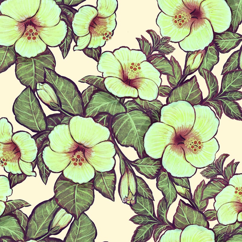 Hibiscus Heaven - Cream