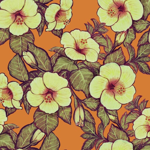 Hibiscus Heaven - Orange