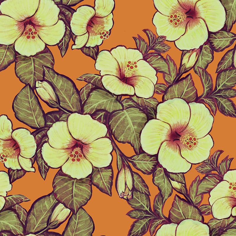 Hibiscus Heaven - Orange