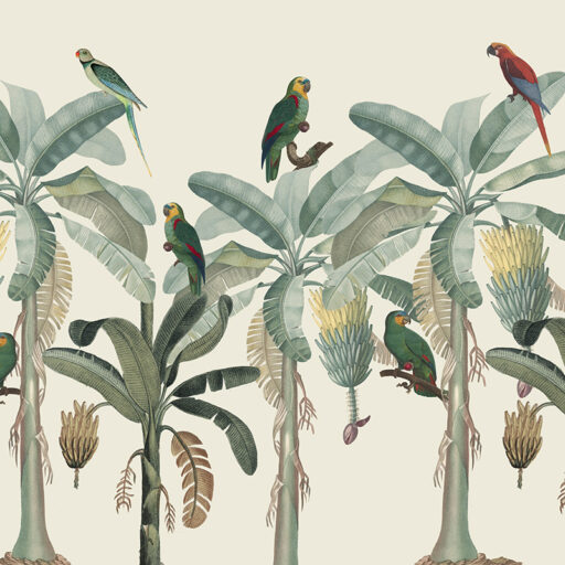 Palm Parot