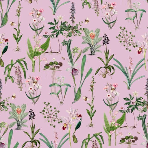 Pink Blush - Pastel Pink