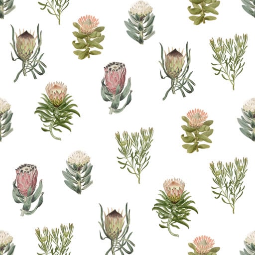Protea - Spaced