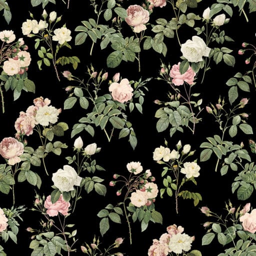 Rose Garden