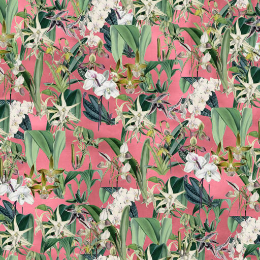 Wild Orchid