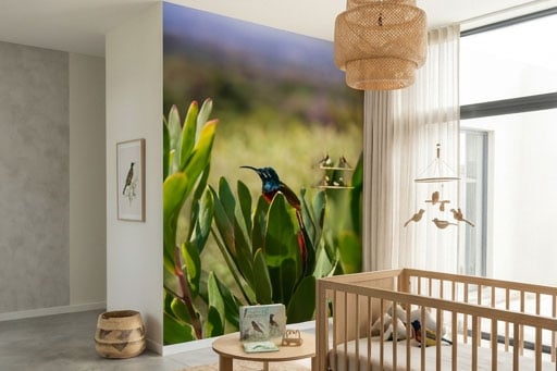 Alternative view of Sunbird