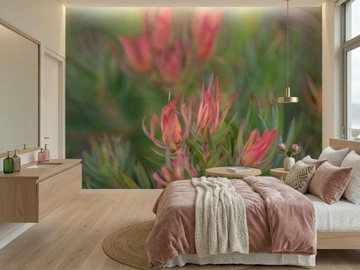 Alternative view of Fynbos Flare