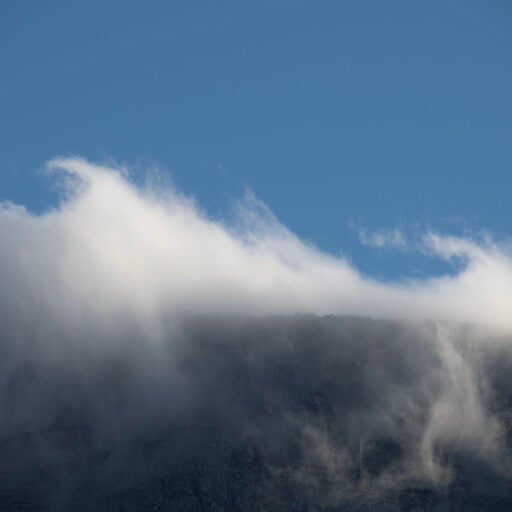 Mountain Wisp Eva-Lotta Wallpaper
