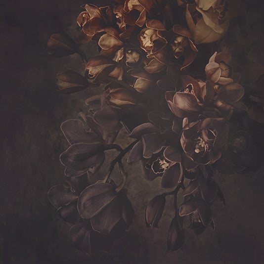Nocturne VIII